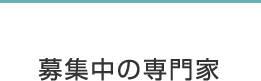 募集中の専門家